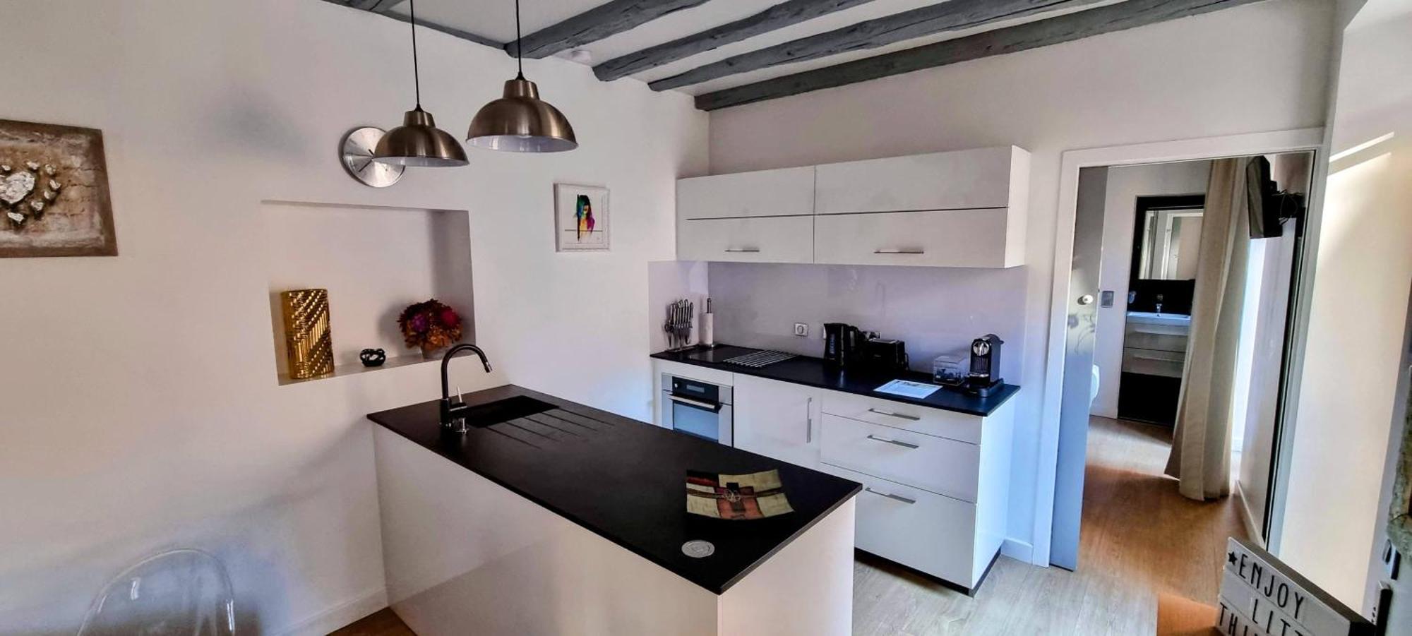 Appartement De Charme Au Coeur De La Vieille Ville 阿讷西 外观 照片