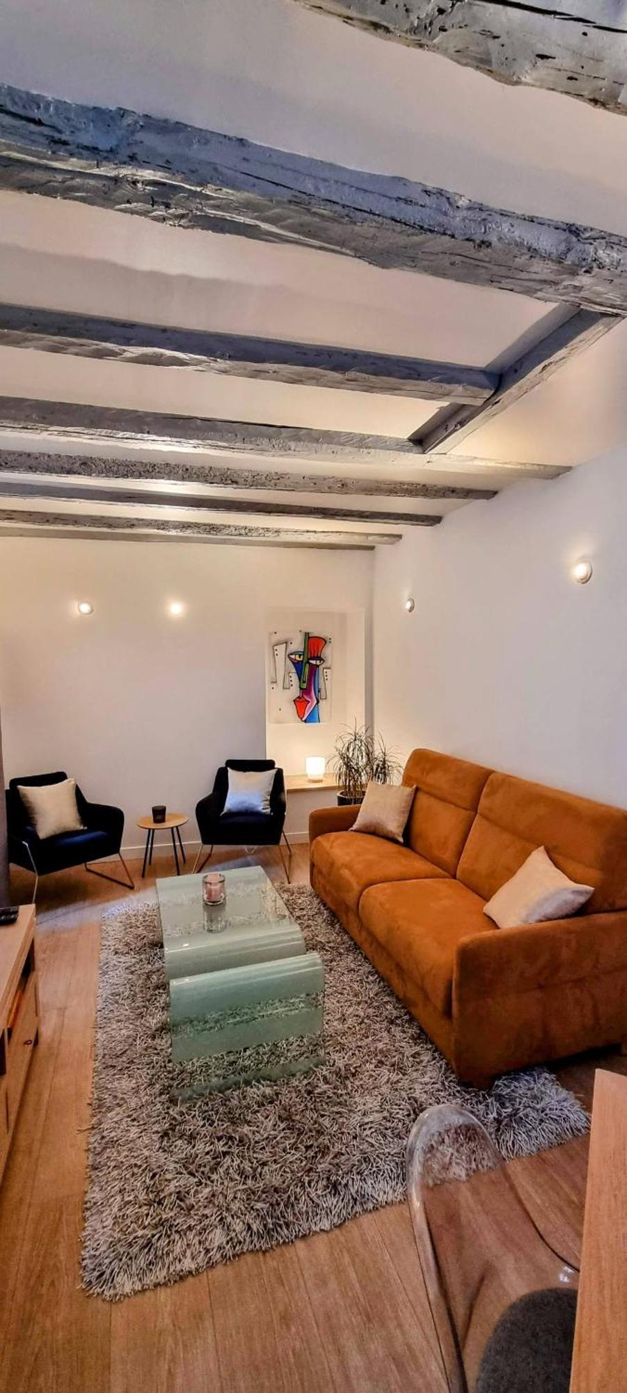Appartement De Charme Au Coeur De La Vieille Ville 阿讷西 外观 照片